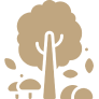 Sturdy tree icon symbolizing agroforestry and long-term agricultural growth.