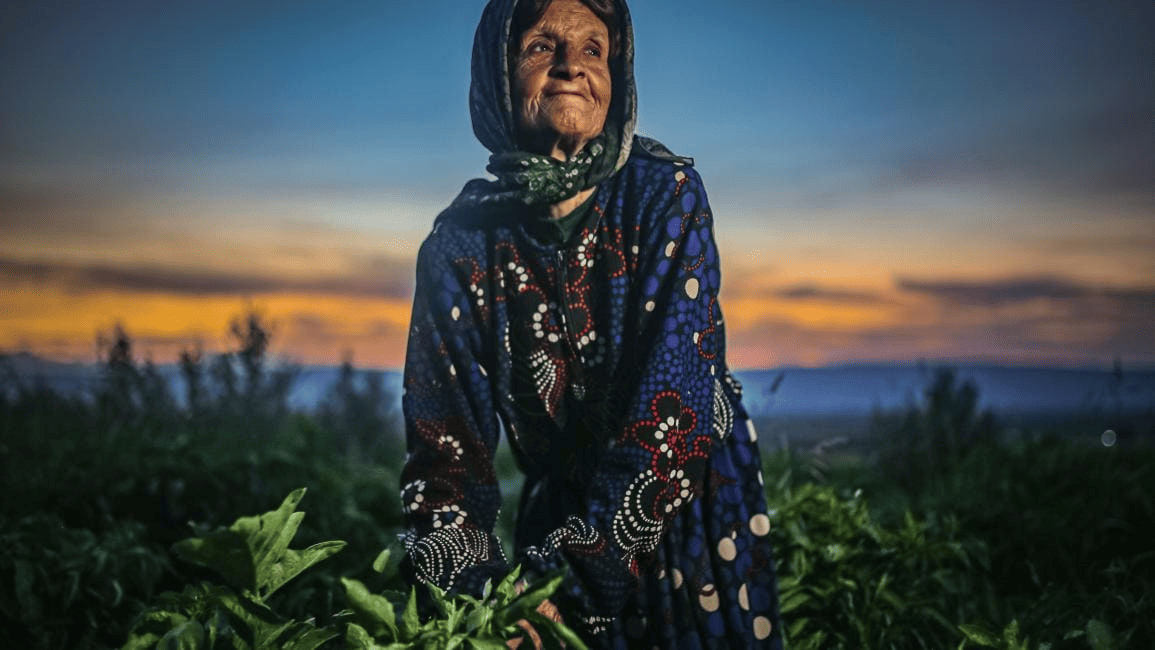 Experienced female farmer tending to olive trees, showcasing generational expertise